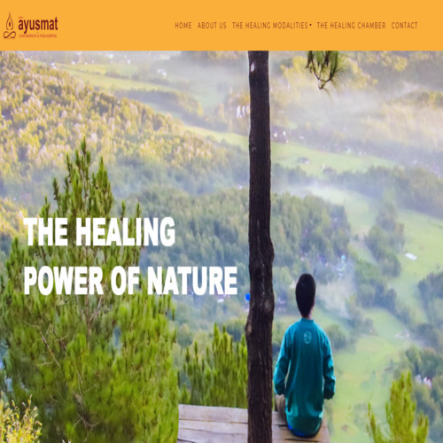 portfolio-image